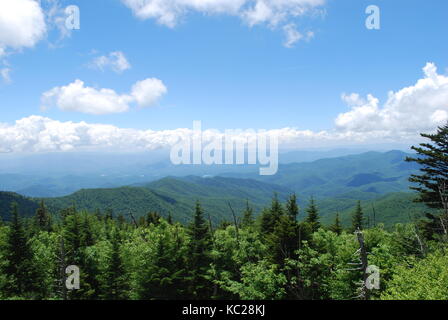 Vue depuis le sommet de la montagne de pins ciel bleu et nuages blancs. belle planète Banque D'Images