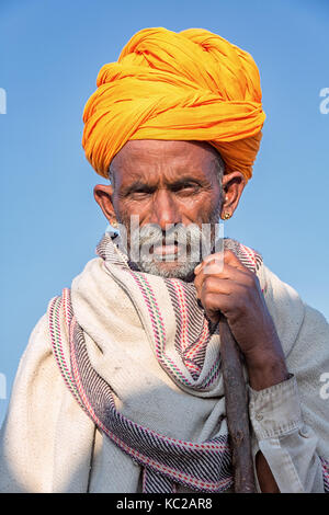 Portrait of a senior avec un Rajasthani et turban jaune, Pushkar, Rajasthan, India Banque D'Images