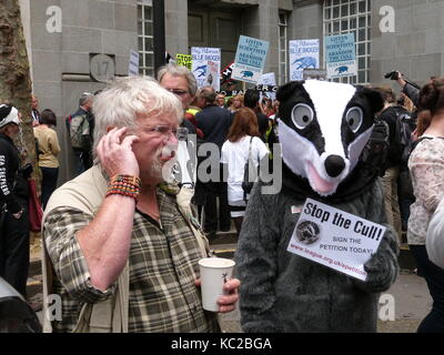 Bill oddie et un blaireau 1er juin 2013 la démonstration de l'extérieur du Defra des bureaux à Londres. Banque D'Images