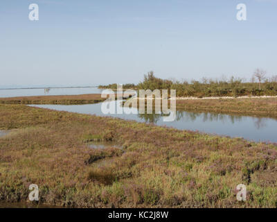Vue d'ensemble sur l'saltmarsh autour de Lio Piccolo, près de Venise Banque D'Images