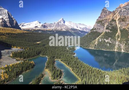 Vue panoramique sur le lac O'Hara et le lac Mary. Parc national Yoho (Colombie-Britannique) Canada à distance des Rocheuses. Automne randonnée Sunny Day Banque D'Images