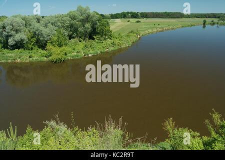 La rivière Bug. Pologne wschodnia.Dolina rivière avec des arbres sur la rive. Banque D'Images