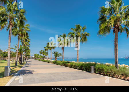 Limassol, Chypre - promenade des palmiers sur ruelle. Banque D'Images