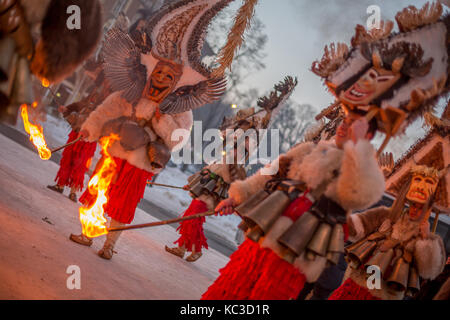 Pernik, Bulgarie - 27 janvier 2017 : les participants masqués dans scary costumes de fourrure sont à attendre leur tour en maintenant la gravure, la surva torches à Banque D'Images