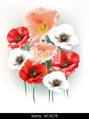 Beaux coquelicots avec bourgeons sur fond clair Illustration de Vecteur