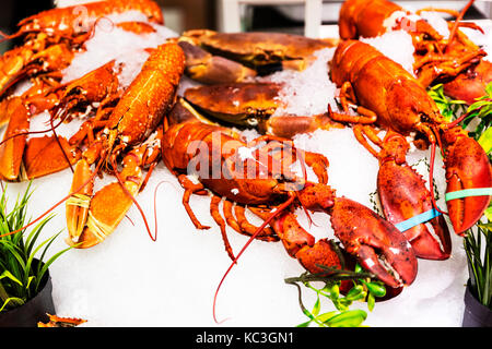 Le homard, les langoustes, les homards frais, poissonnerie le homard, langouste en poissonnerie, le homard, le homard d'affichage affiche, homards cuits, homard cuit, Banque D'Images