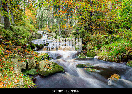 La rivière Bode dans les montagnes du Harz Banque D'Images