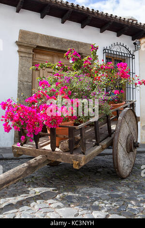 Février 14, 2015 Guatemala : Les fleurs de la décoration d'une cité médiévale sur le panier de bois de la rue coloniale de la ville de destination touristique populaire Banque D'Images