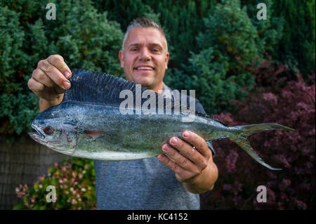 Angler Mark Padfield qui ont pris les premiers poissons dauphins dans les eaux britanniques, à partir de la plage de Chesil dans le Dorset. Le poisson n'est pas indigène à la France eaux. Banque D'Images