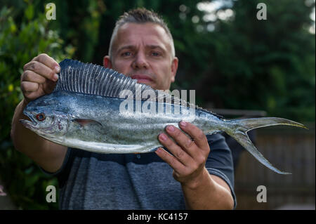 Angler Mark Padfield qui ont pris les premiers poissons dauphins dans les eaux britanniques, à partir de la plage de Chesil dans le Dorset. Le poisson n'est pas indigène à la France eaux. Banque D'Images