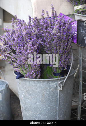 L'ensemble de la lavande dans un seau vintage Banque D'Images