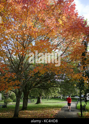 Newquay, Cornwall, UK. 2Nd Oct, 2017. Météo britannique. L'automne commence à Newquay comme les feuilles commencent à tomber près de Trenance Lake. Credit : Nicholas Burningham/Alamy Live News Banque D'Images