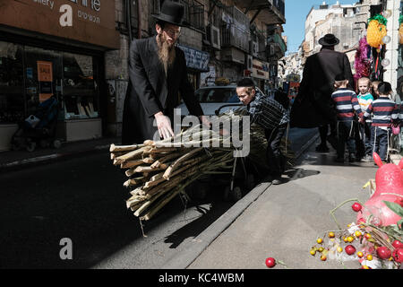 Jérusalem, Israël. 3ème oct 2017. un père et fils transports thatch pour couvrir la soucca, un tabernacle, dans le quartier de Mea Shearim. les tabernacles symbolisent les abris utilisés par les anciens hébreux dans le désert après qu'ils ont été libérés de l'esclavage en Egypte. Les préparatifs sont en cours pour Souccot, la fête juive des tabernacles. crédit : alon nir/Alamy live news Banque D'Images