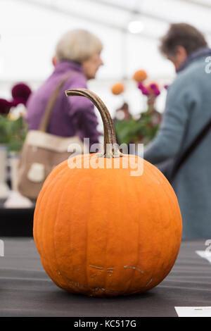 Citrouille montrer au Malvern autumn show, Worcestershire, Royaume-Uni Banque D'Images