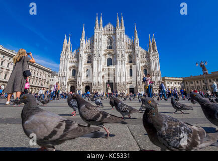 La piazza del Duomo, Milan, Milan, Lombardie, Italie, Europe Banque D'Images