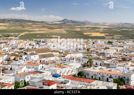 Vue sur la vieille ville, Osuna, province de Séville, Andalousie, Espagne Banque D'Images