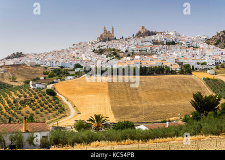 Village blanc avec église de la Encarnación, et château mauresque, Olvera, province de Cadix, Andalousie, Espagne Banque D'Images