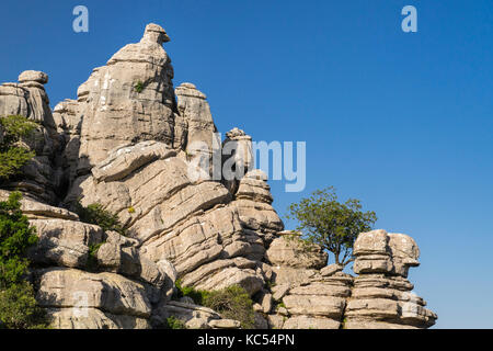 Formations rocheuses de calcaire bizarres, réserve naturelle El Torcal, Antequera, province de Malaga, Andalousie, Espagne Banque D'Images