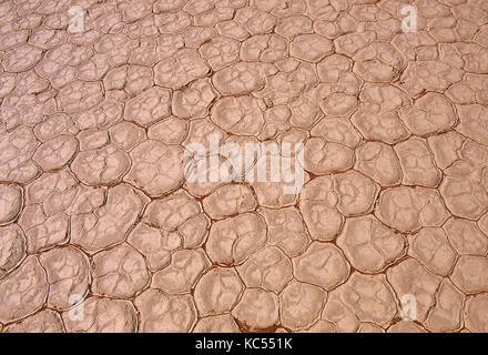 La NAMIBIE. deadvlei. paysage aride de la terre craquelée. Banque D'Images