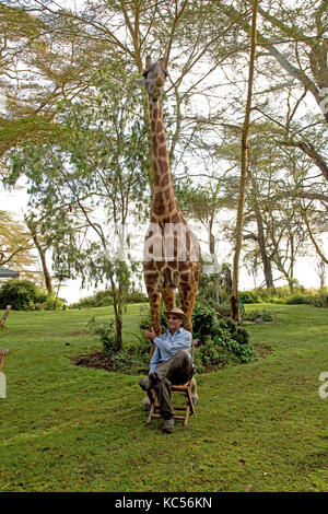 Le port touristique hat pose assis sur une chaise en face d'eric une personne-friendly girafe à elsamere kenya naivasha Banque D'Images