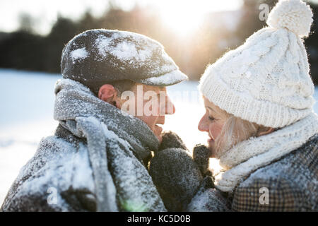 Beau couple, lors d'une promenade en nature d'hiver ensoleillé Banque D'Images