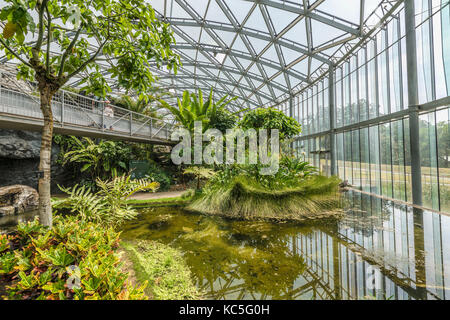 Le Greenhause au jardin national de Shinjuku Gyoen, Tokyo, Japon Banque D'Images