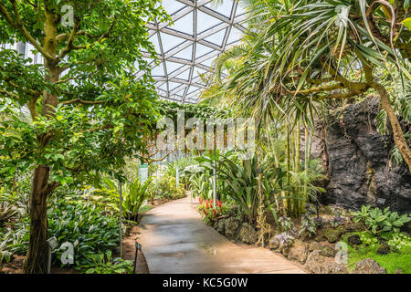 Le Greenhause au jardin national de Shinjuku Gyoen, Tokyo, Japon Banque D'Images