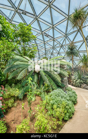 Le Greenhause au jardin national de Shinjuku Gyoen, Tokyo, Japon Banque D'Images