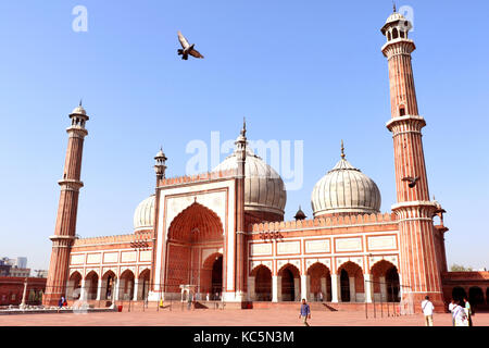 Jama Masjid de Delhi, est l'une des plus grandes mosquées de l'Inde. La cour de la mosquée peut accueillir jusqu'à vingt-cinq mille fidèles. Banque D'Images