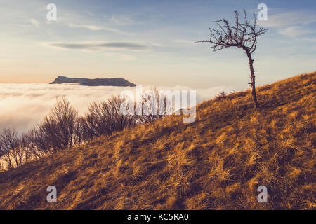 Paysage d'automne od Demerdji mountain Banque D'Images