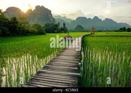 Coucher de soleil sur les champs de riz vert et les montagnes à Vang Vieng, Laos Banque D'Images