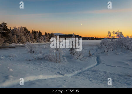 La route d'hiver dans l'aube en spruse forêt, beau lever Banque D'Images