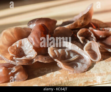 Jelly champignons oreille prête pour la cuisson Banque D'Images