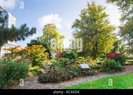 Andrews East Park au cours de l'automne dans le centre-ville de Southampton, England, UK Banque D'Images