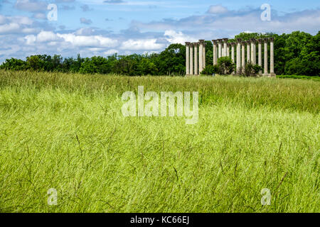 Washington DC,United States National Arboretum,jardin botanique,Ellipse Meadow,National Capitol Columns,Corinthian,graminées,DC170525089 Banque D'Images