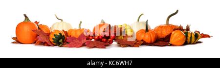 Longue frontière de citrouilles, courges et feuilles d'automne rouge isolé sur fond blanc Banque D'Images