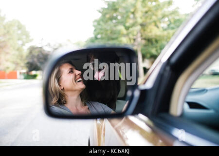 Femme et labrador retriever qui reflète de rétroviseur Banque D'Images