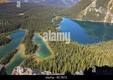 Vue aérienne du lac O’Hara et du lac Mary dans la vallée de la forêt. Randonnée dans le parc national Yoho, Colombie-Britannique montagnes Rocheuses canadiennes Banque D'Images