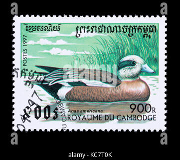 Timbre-poste représentant du Cambodge (Mareca canards d'americana) Banque D'Images