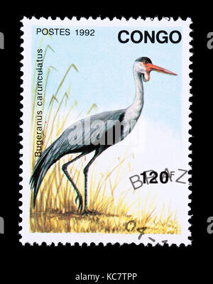 Timbre-poste de Congo représentant une grue caronculée (Bugeranus carunculatus) Banque D'Images