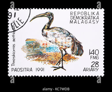 Timbre-poste représentant de Madagascar (Afrique de l'ibis sacré Threskiornis aethiopicus) Banque D'Images