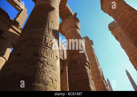 Louxor, piliers du temple d'Amon, une partie de l'ensemble du temple de Karnak, Haute Egypte Banque D'Images