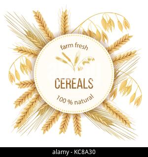 Blé, orge, avoine et seigle. quatre grains de céréales et les oreilles, le texte de l'étiquette ronde. Illustration de Vecteur