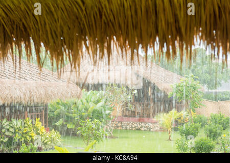 Verser la pluie tropicale Banque D'Images