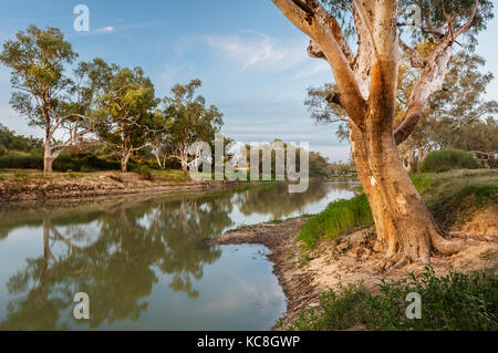 L'humeur du soir à Cooper Creek à Innamincka Réserve Régionale. Banque D'Images