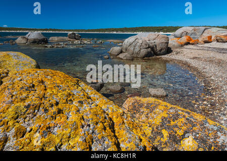 Lichens colorés sur les rochers à Fishermans Point dans la Lincoln National Park. Banque D'Images