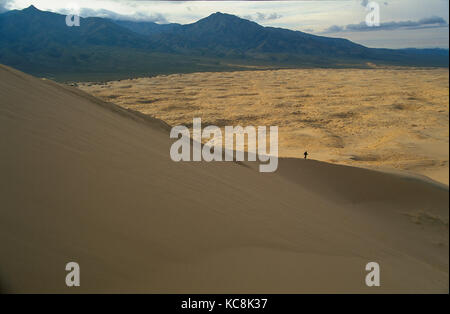 Randonneur sur dunes kelso à mojave national preserve californie Banque D'Images