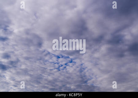 Lourds nuages gris pluvieux à l'été. arrière-plan, la météo. Banque D'Images