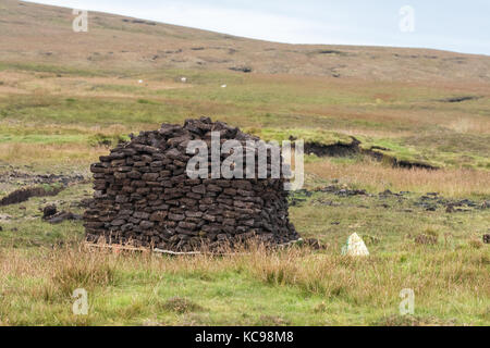 La tourbe traditionnelle pile dans les îles Shetland, Écosse, Royaume-Uni Banque D'Images