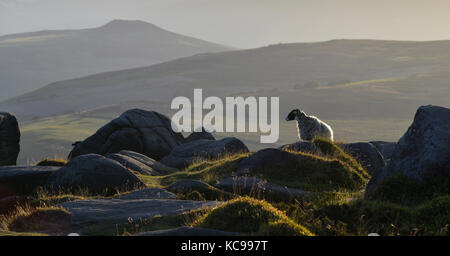 Cache-cache sur Stanage Edge Banque D'Images